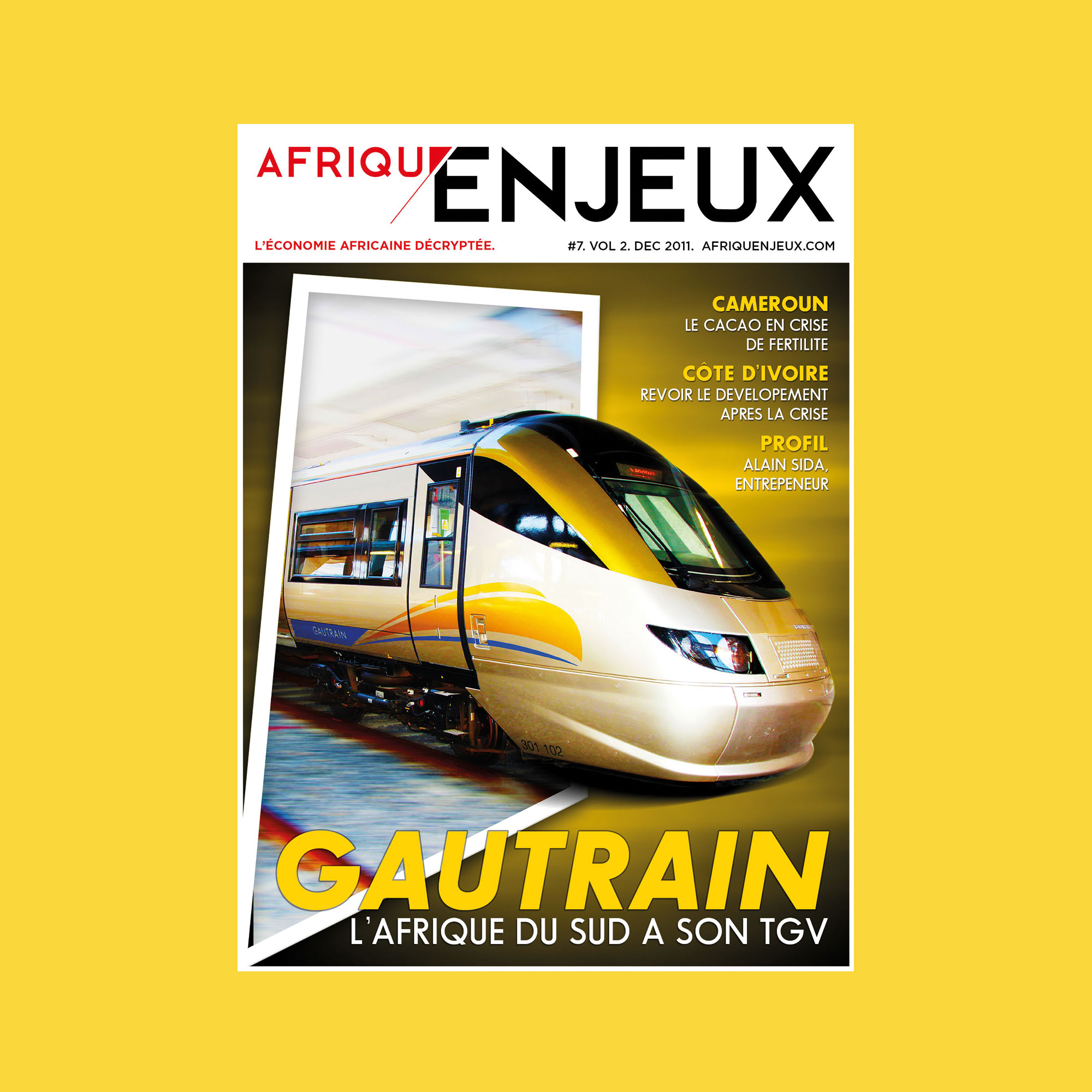 Afrique Enjeux Cover N7